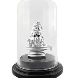 Shivji Idol with Acrylic Base-image-63
