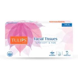 Facial Tissues (2 Ply x 100 Pulls)-12