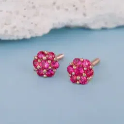 Sterling Silver Stone-Studded Earrings-image-0