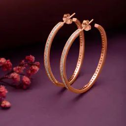 Women Sterling Silver Rose Gold-Plated Hoop Earrings-image-70