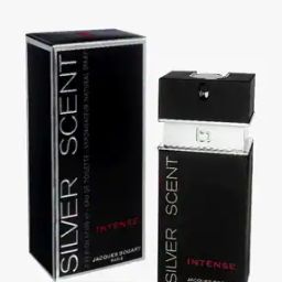 Silver Scent Intense Eau de Toilette - 100 ml-image-62