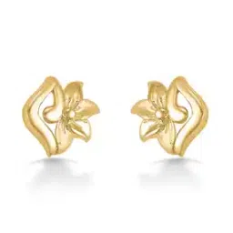 p n gadgil jewellers Women Yellow Gold Stud Earrings-picture-24