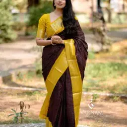 Women Checked Saree with Contrast Border-image-15