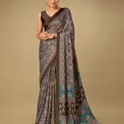 Ajrak Printed Bagru Woven Saree-11