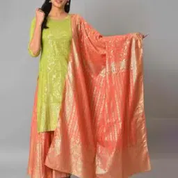 Women Paisley Print Dupatta-20