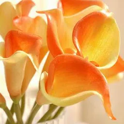 Lily Artificial Flower Stem-30