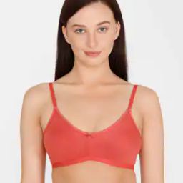 Rosaline Everyday Anti-Microbial Double Layered Non Wired Non Padded 3/4th Coverage T-Shirt Bra - Dusty Cedar-53