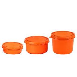 Set of 3 BPA-Free Steel Containers with Lid-31
