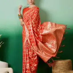 Women Traditional Saree   -picture-30