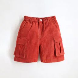 Boys Ribbed Regular Fit Cargo Shorts-23