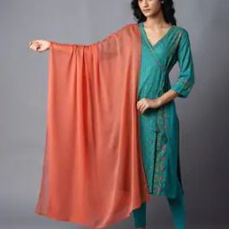 Women Chiffon Dupatta-picture-15