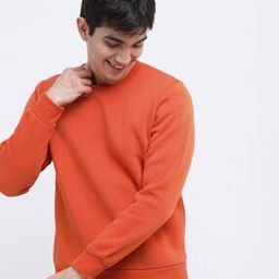 Crew-Neck Sweatshirt with Ribbed Neckline-image-99