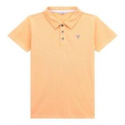 Regular Fit Polo T-Shirt with Brand Print-image-35
