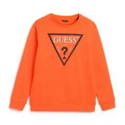 Cotton Logo Print Sweatshirt-image-84