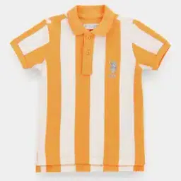 Boys Striped Regular Fit Polo T-Shirt-image-79