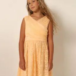 Girls Embroidery Fit and Flare Dress-image-73