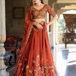 jihu culture Embroidered Lehenga Choli Set with Dupatta image 1