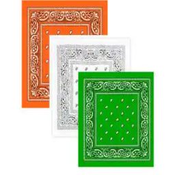 Paisley Unisex Cotton Paisley Bandanas-image-79