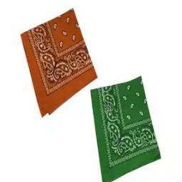 Paisley Unisex Cotton Paisley Bandanas-image-6