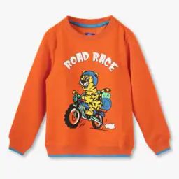 Boys Graphic Print Regular Fit Round-Neck Sweatshirt-picture-17