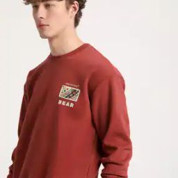 Men Printed Relaxed Fit Sweatshirt-43