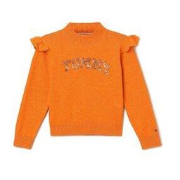 tommy hilfiger Slip On Logo Embellished Pullover-picture-29