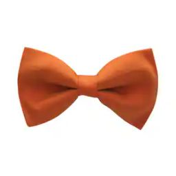 Bow Tie-image-32