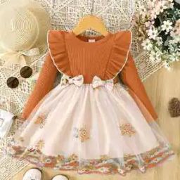 Women Embroidered Fit & Flared Dress-image-56