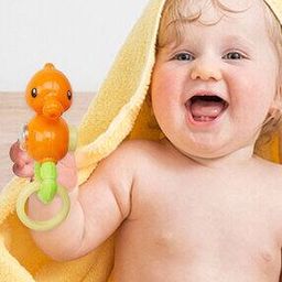 Sea Horse Handheld Rattle Toy-18
