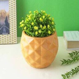 Table Top Ceramic Planter-image-13
