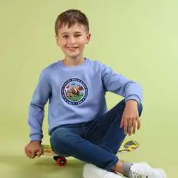 Boys Printed Regular Fit Sweatshirt-19
