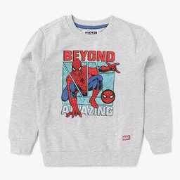 Spider Man Print Round-Neck Sweatshirt-25