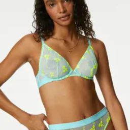 Women Embroidered Plunge Bra-image-45