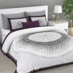 Cotton Bedsheet with 2 Pillow Covers-image-51