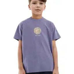 Boys Embroidery Regular Fit Crew- Neck T-shirt-image-83