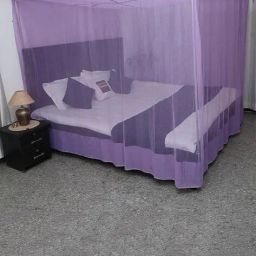 chiku cherry Rectangular Mosquito Net image 1