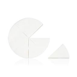 Pressed Sponge Triangle Pie-51