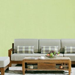 Jaamso Royals Green Solid Matte Self Adhesive Wallpaper-image-40