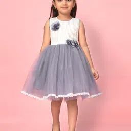 BAESD Girls Self Design Sleeveless Net Fit & Flare Dress-image-83