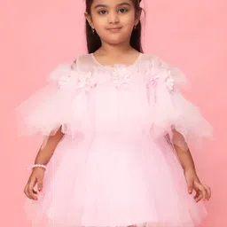 BAESD Girls Frills Net Fit & Flare Dress-picture-20