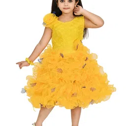carrydreams Girls Net Fit & Flare Dress-picture-41
