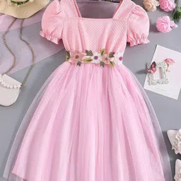 BAESD Square Neck Puffed Sleeve Net Fit & Flare Dress-image-77