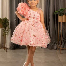 Ministitch Girls Floral Self Designed Corsage Detailed Net Fit & Flare Dress-picture-15