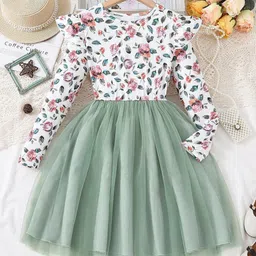 BAESD Girls Floral Printed Ruffled Tulle Net Fit & Flare Dress-image-17