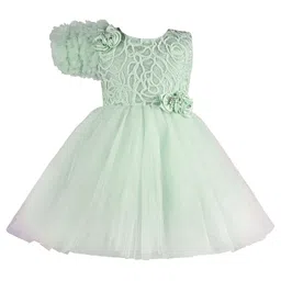 Wish Karo Puff Sleeve Net A-Line Dress-image-94