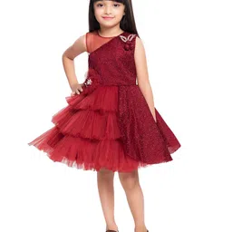 BETTY Girls Maroon Net Dress-image-38