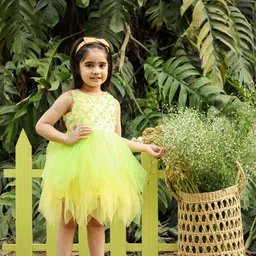 LIL DRAMA Lime Green Beads Embellished Net Dress-picture-16