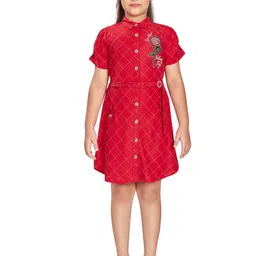 Peppermint Checked Shirt Collar Puff Sleeves Embroidered Cotton Casual Shirt Dress-picture-6
