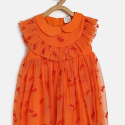 MINI KLUB Girls Conversational Embroidered Peter Pan Collar Flutter Sleeve A-Line Dress-image-75