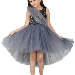 Toy Balloon kids Grey Layered Net Dress-35
